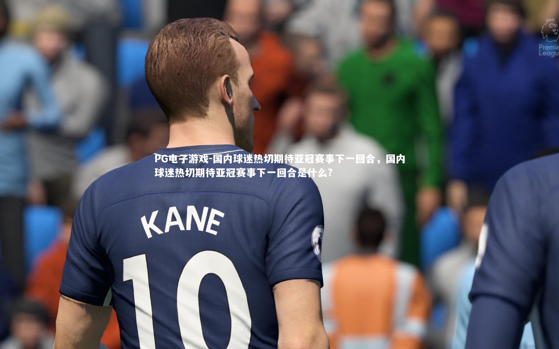 PG电子游戏-国内球迷热切期待亚冠赛事下一回合，国内球迷热切期待亚冠赛事下一回合是什么?